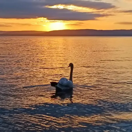 Fobala Balatonföldvár