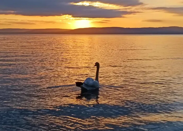 Fobala Balatonföldvár